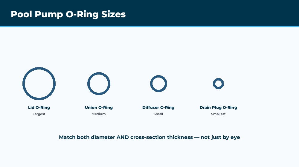 Multiple pool pump O-rings of different sizes laid out for comparison next to caliper measuring tool